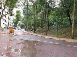 Blk 543 Jelapang Road (Bukit Panjang), HDB Executive #205082141